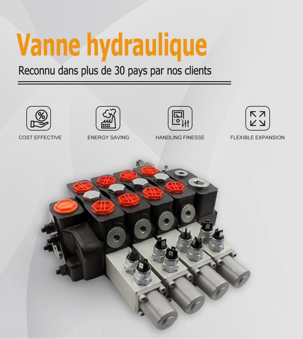 DLS180 Micro Switch Manuel 4 distributeurs Distributeur directionnel sectionnel